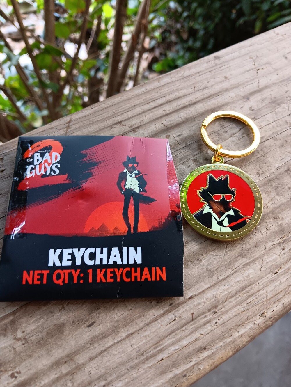 The Bad Guys 2 Coin Keychain